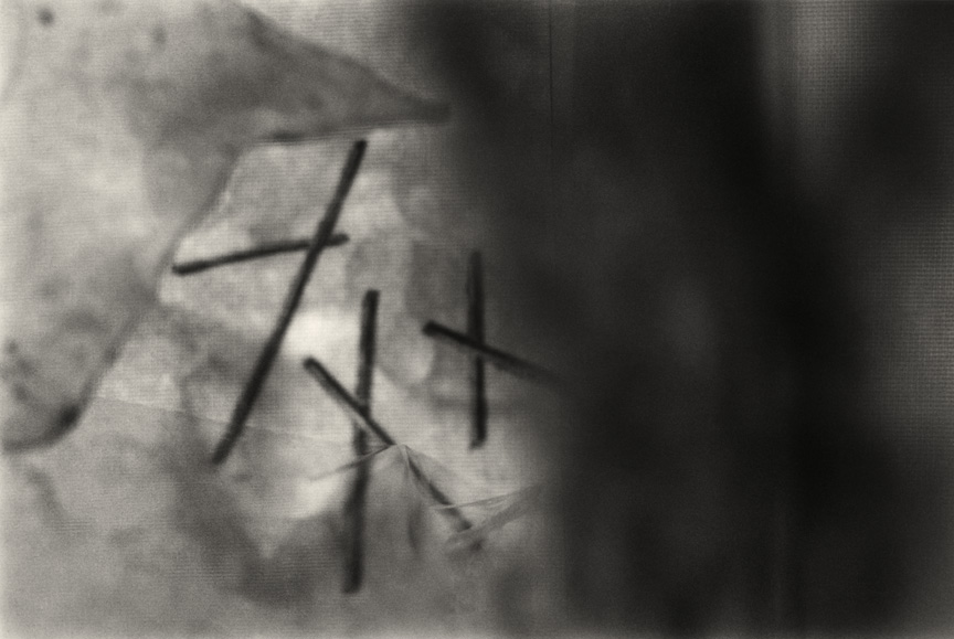 <b>Barrier 5</b>, 2014, gelatin silver print, 5.5x8 inches